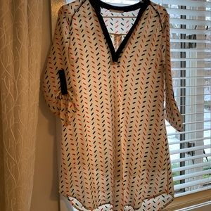 Sheer V-neck blouse